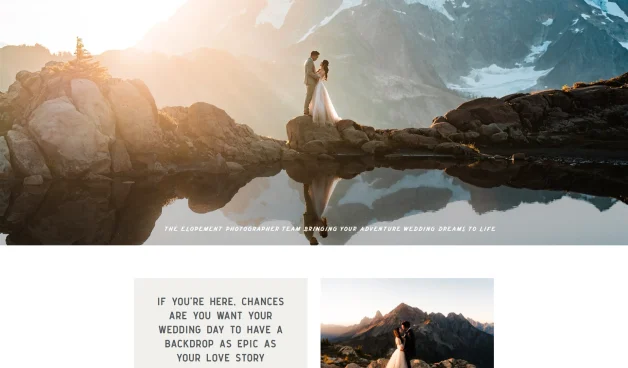 The Foxes Photography